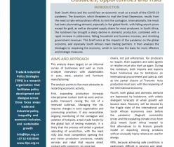 TIPS: Reopening the Economy - Obstacles, Opportunities and Risks